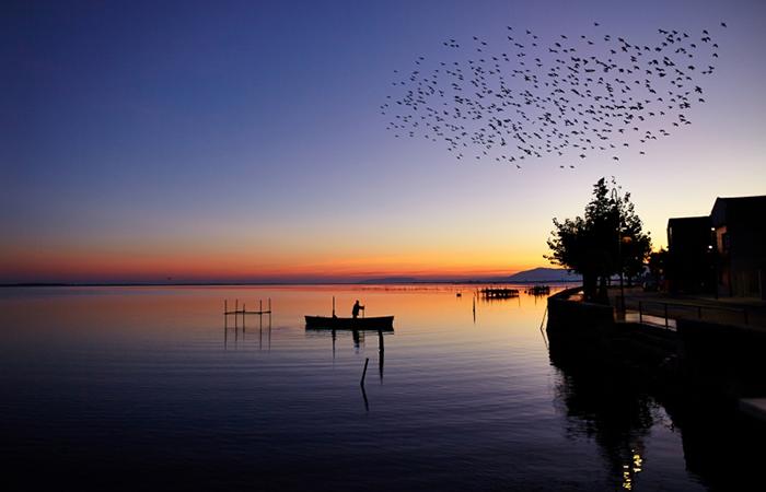 Lago di Lesina