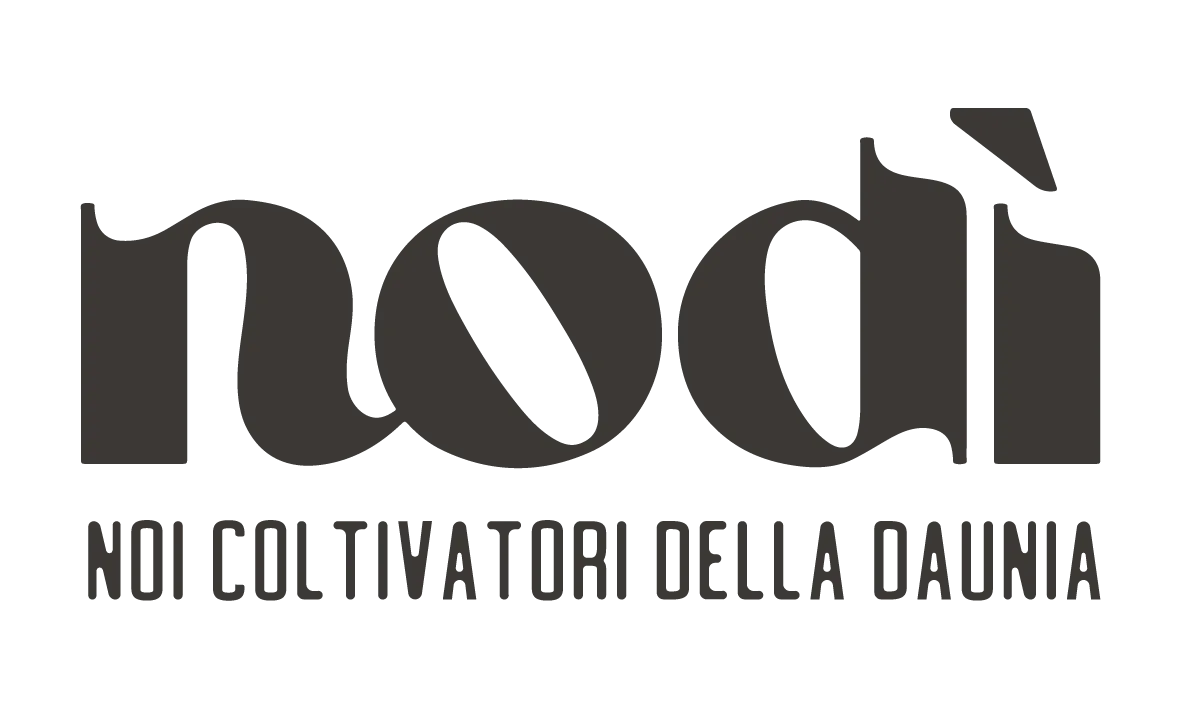 Logo Nodì