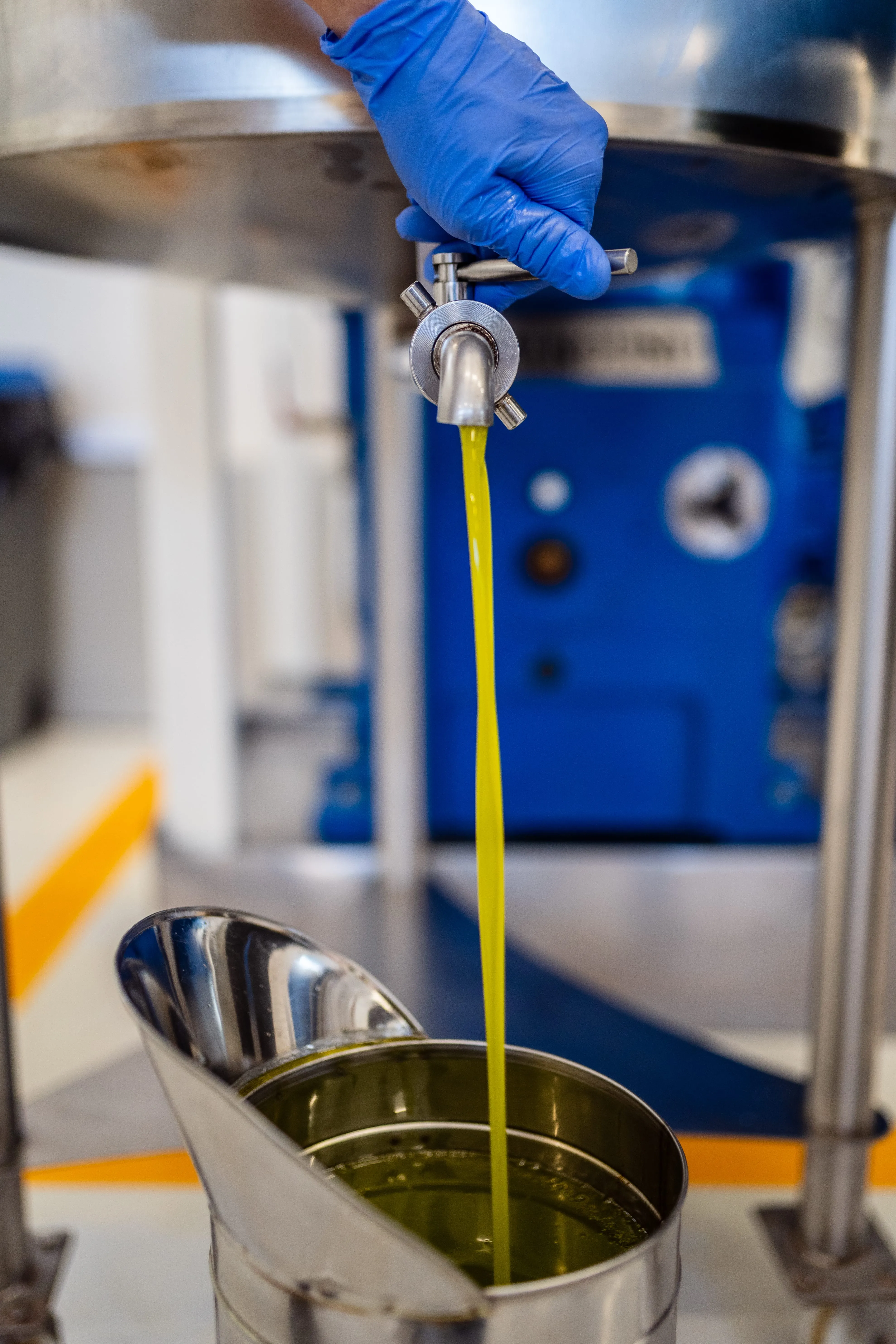 Olio appena estratto nel frantoio