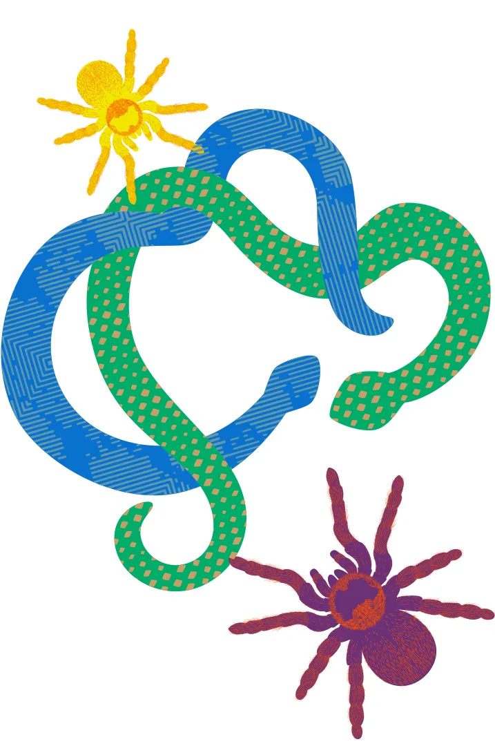 Illustrazione di serpenti e tarantola — il rito di San Paolo nella Daunia